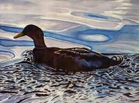 Morning Swim At Wapato Lake - Watercolor Paintings - By Anne Doane, Impressionism Painting Artist