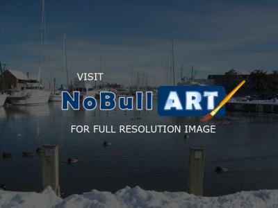 Out And About - Annapolis After Blizzard - Digital