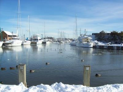 Out And About - Annapolis After Blizzard - Digital