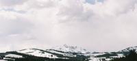 Natural Yellowstone - Digital Photography - By Lisa Short, Nature Photography Artist