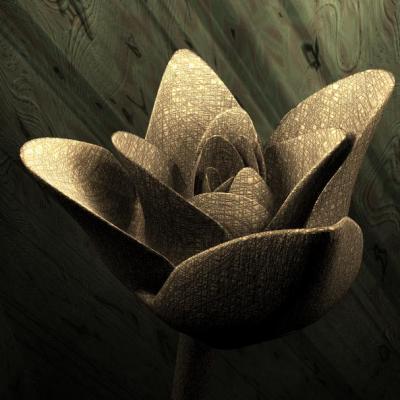 Brycean Art - Wall Flower - Model- Wings3D Render- Bryce