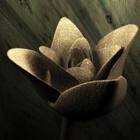 Wall Flower - Model- Wings3D Render- Bryce Digital - By E Roby, Abstract Digital Artist