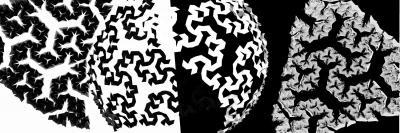 Brycean Art - Koch Curve Yin Yang - Bryce