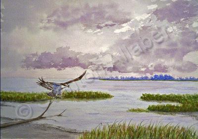 Original Watercolor - Northend Osprey - Watercolor