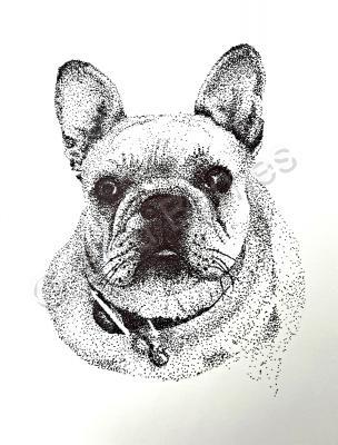 Animals - French Bulldog - Pen And Ink