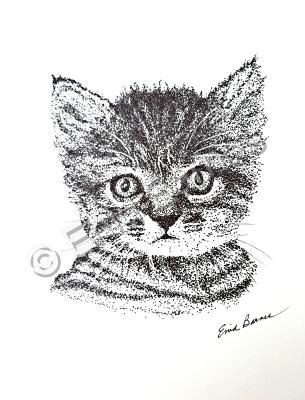 Animals - Striped Cat - Pen And Ink