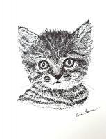 Striped Cat - Pen And Ink Drawings - By Enid Barnes, Pointillism Drawing Artist