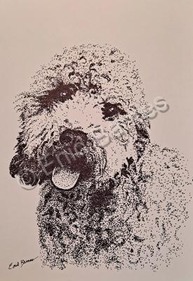 Animals - Golden Doodle - Pen And Ink