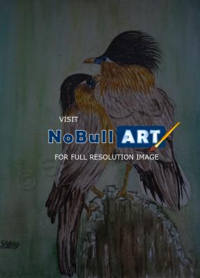 Birds - Love - Watercolor
