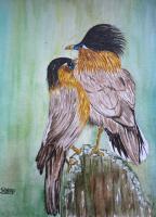 Birds - Love - Watercolor