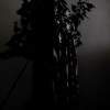 Iranian Angel - Digital Photography - By Iman Mahtabi, Black And White Photography Artist