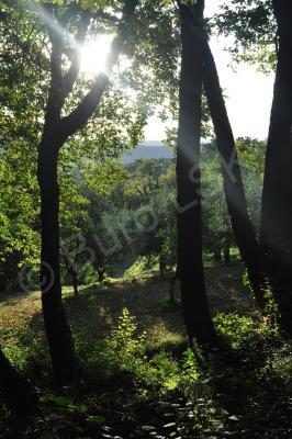 Landscapes - Italian Hills - Nikon D90