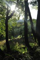 Landscapes - Italian Hills - Nikon D90