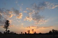 Landscapes - Sunset In Kanha - Nikon D90