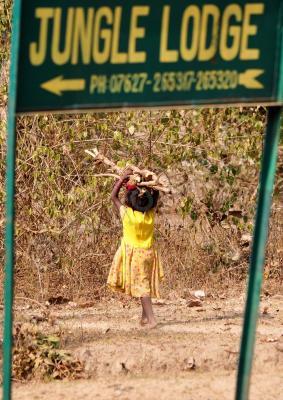 People - Jungle Lodge - Nikon D90