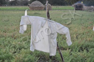 Still Life - Scarecrow - Nikon D90