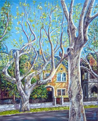 Landscapes - Plane Tree Of My Town - Oil On Canvas