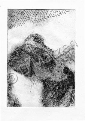 Printmaking - Dog 1--Cardboard Engraving - Cardboard Engraving