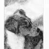 Dog 1--Cardboard Engraving - Cardboard Engraving Printmaking - By D Matzen, Representational Printmaking Artist