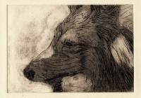 Printmaking - Dog 2 - Cardboard Engraving