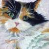 Cat 3 - Oil On Board Paintings - By D Matzen, Representational Painting Artist
