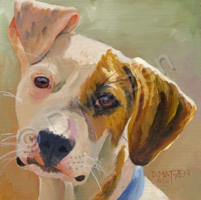 Dog Series - Dog 8 - Oil On Board