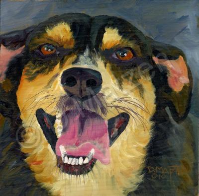 Dog Series - Dog  12 - Oil On Board