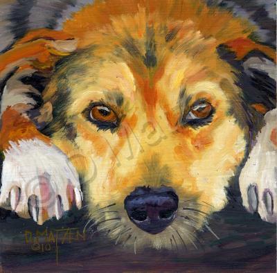 Dog Series - Dog 13 - Oil On Board