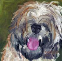 Dog Series - Dog 14 - Oil On Board