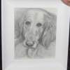 Golden Locks - Pencil Drawings - By Charles Beseler, Sketch Drawing Artist