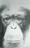 The Eyes - Ink Drawings - By Giampiero Damanias, Ink Drawing Artist
