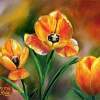 Three Tulips - Oil Paintings - By Dottie Kinn, Realism Painting Artist