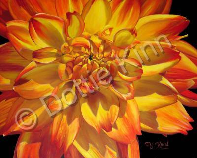 Florals - Yellow And Orange Variegated Dahlia - Oil