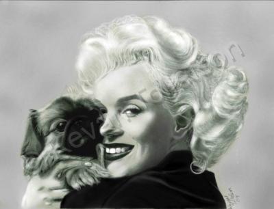 Pencil Portraits - Marylin Monroe - Pencil