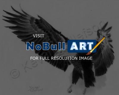 Pencil Portraits - Flying Eagle - Pencil