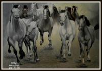 Painting - Herd - Oil On Canavas