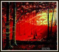 Sunset In The Woods - Oil On Canavas Paintings - By Plamen Stanchev, Oil On Canavas Painting Artist