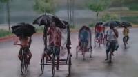 Rickshaws - The Rain - Acrylic