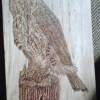 Loggers Hawk - Pyrography Woodwork - By Dana Arvidson, Realism Woodwork Artist