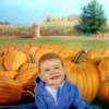 Pumpkin Prince - Pastels Paintings - By Kevin Gaffney, Realism Painting Artist