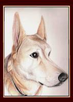 Portraits - Romeo - Colored Pencil