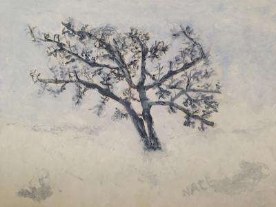 Landscape - Delta Dogwood Winter - Acrylic