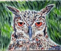 Owl - Acrylic On Canvas Paintings - By Fernando Maneiras, Pop Art Painting Artist