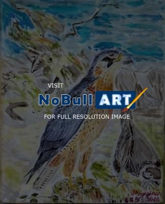 Animal - Falcon - Acrylic On Canvas