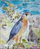 Animal - Falcon - Acrylic On Canvas