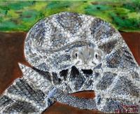 Animal - Snake - Acrylic On Canvas