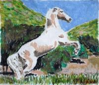 Animal - Cavalo - Acrylic On Canvas