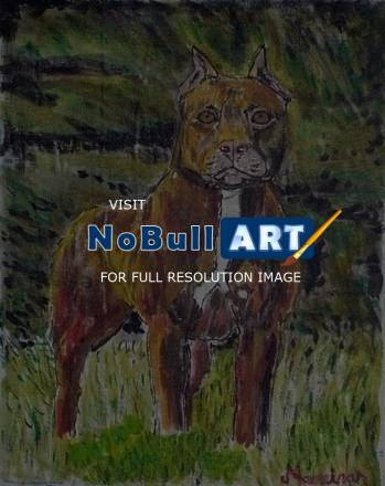 Animal - Pitbull - Acrylic On Canvas