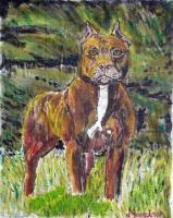 Animal - Pitbull - Acrylic On Canvas