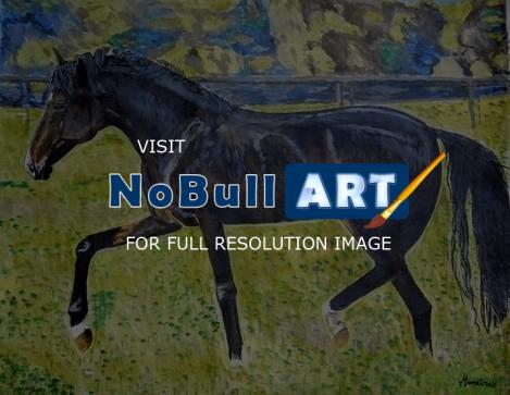 Animal - Cavalo - Acrylic On Canvas